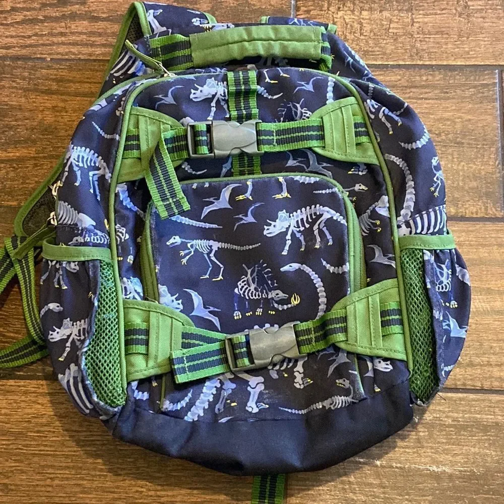 Pottery Barn Kids Bag pack